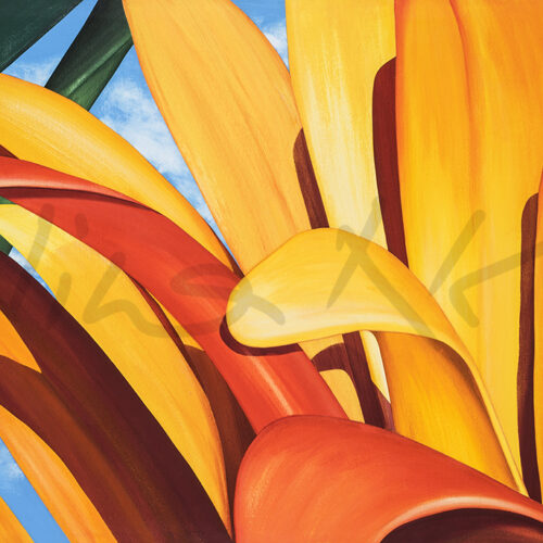 MARIGOLD IN MY GARDEN No. 4