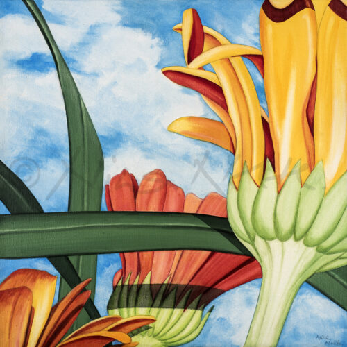 MARIGOLD IN MY GARDEN No. 24